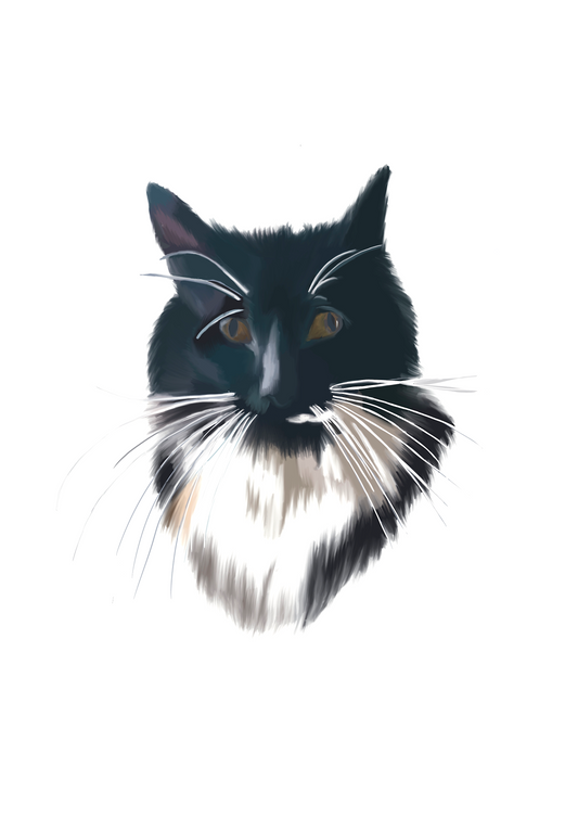 Custom Single Pet Portrait