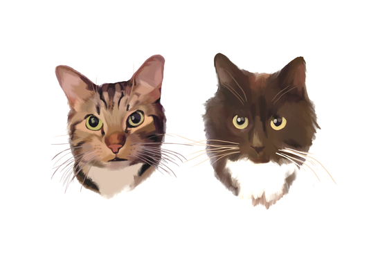 Custom Double Pet Portrait