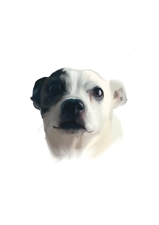 Custom Single Pet Portrait